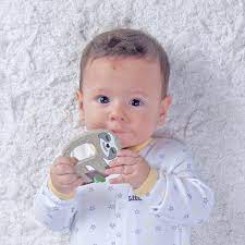 Mordedor Divertido Pimpolho Preguica +4M