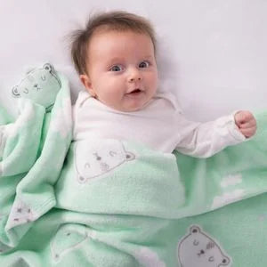 Cobertor Microfibra Urso Papi Baby