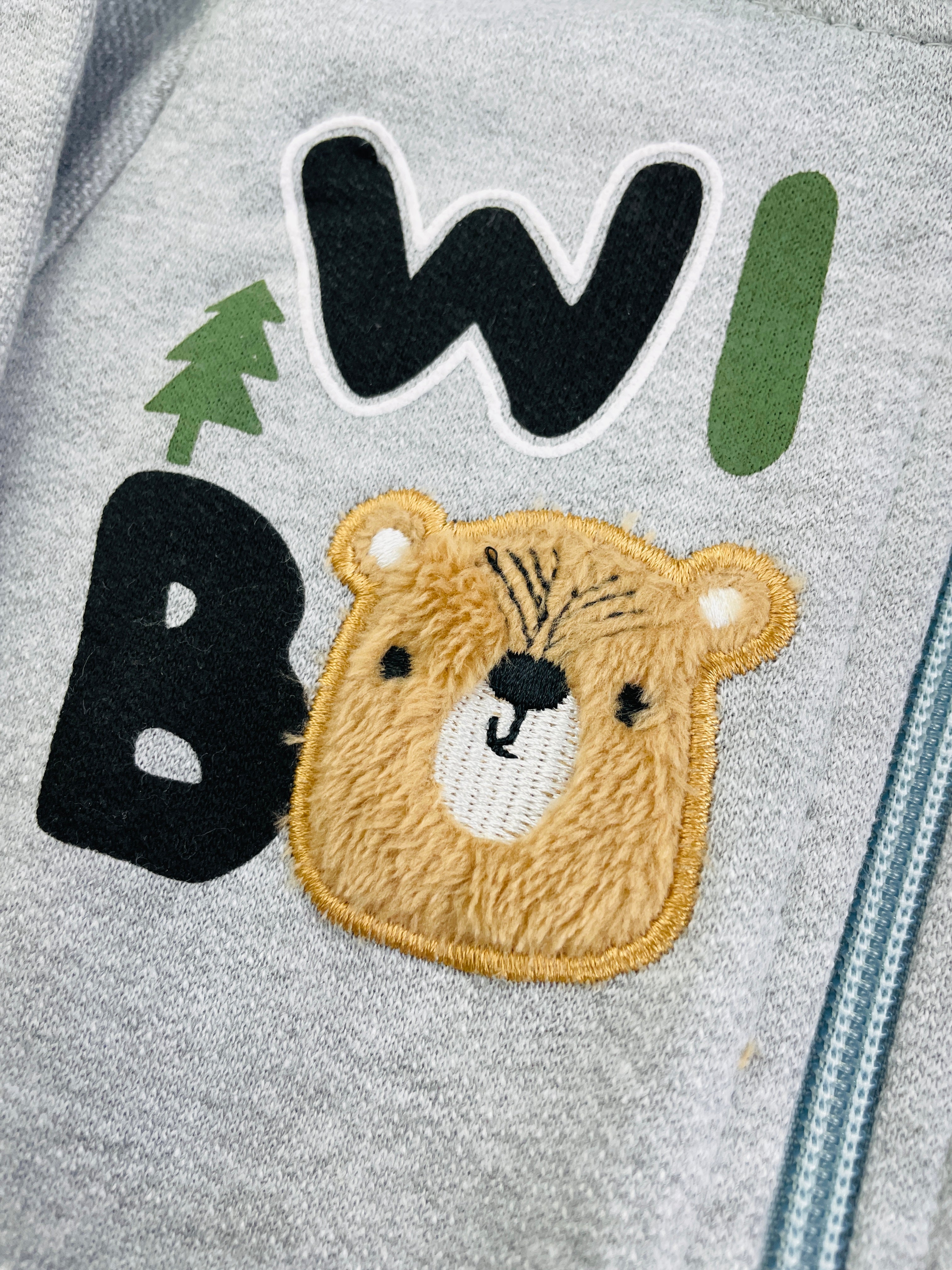 Conjunto Masculino Brincar E Arte Jaqueta Wild Moletom