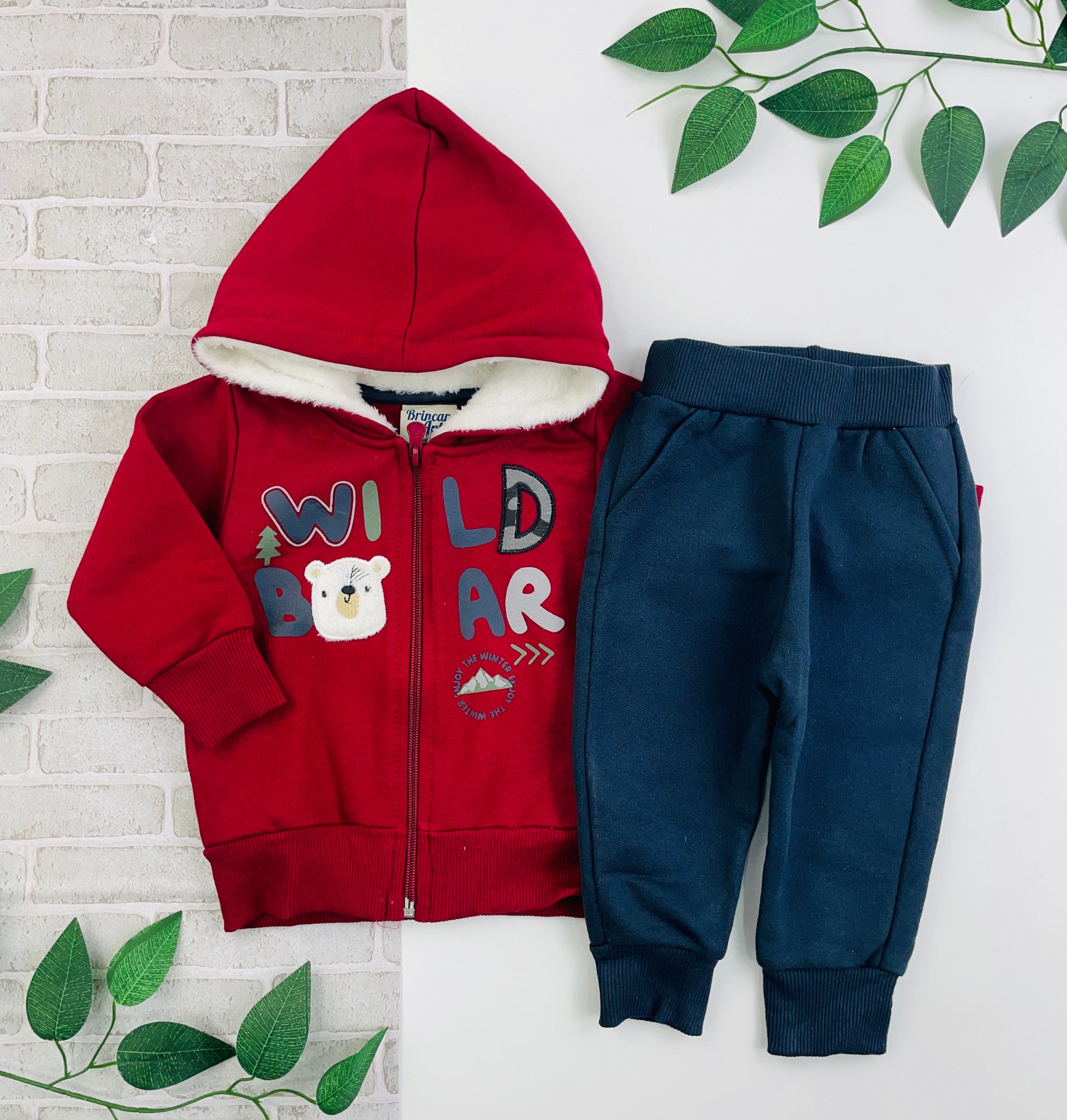 Conjunto Masculino Brincar E Arte Jaqueta Wild Moletom