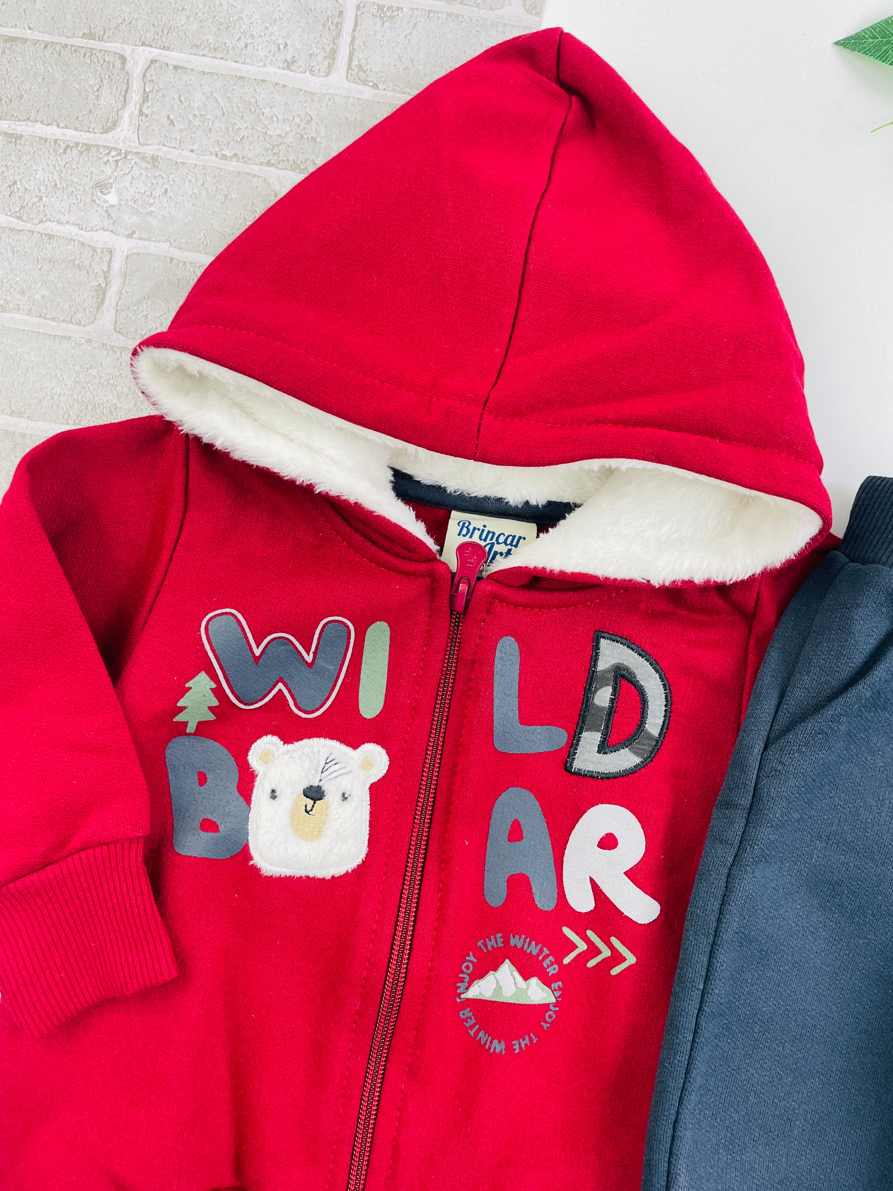 Conjunto Masculino Brincar E Arte Jaqueta Wild Moletom