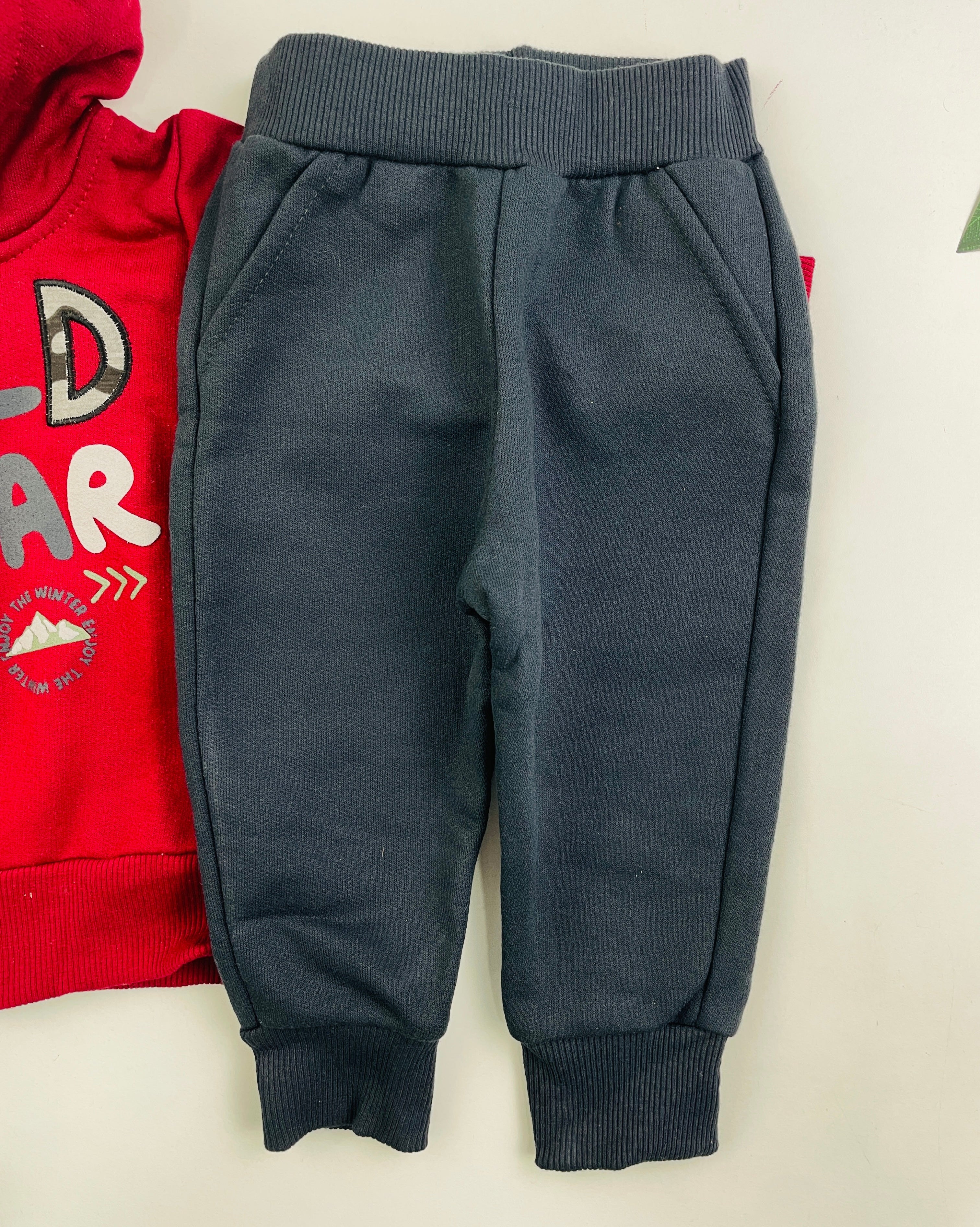 Conjunto Masculino Brincar E Arte Jaqueta Wild Moletom